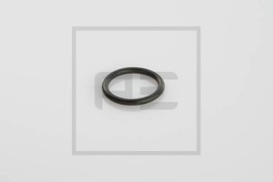 O Ring 20 x 2,5 für Druckluftverschraubung M22 L15